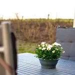 Meeresblickresidenzen Ferienwohnung Nr 12 Mit Sauna- Und Schwimmbadnutzung Im Ahoi Sellin