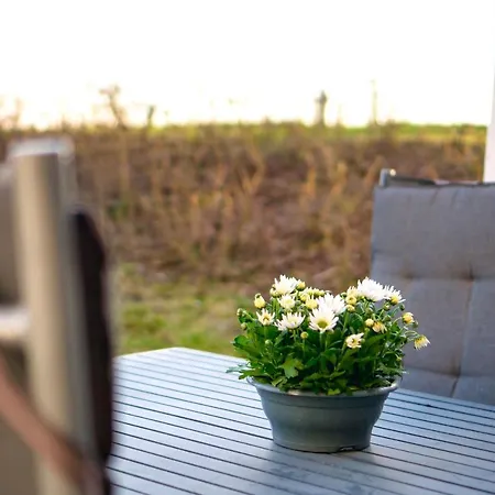 Terrasse, Gratis Nutzung Vom Ahoi Erlebnisbad Und Sauna In Sellin - Meeresblick 12